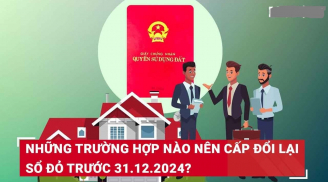 Từ 8/2024 -31/12/2024: 9 trường hợp cần cấp đổi lại Sổ Đỏ, càng cố tình giữ lại càng thiệt thòi