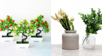 Cây giả để trong nhà có thực sự xấu trong phong thủy không?