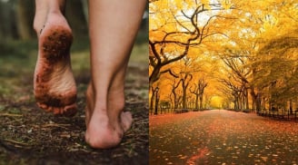 Cổ nhân dặn: Sang đầu thu, ăn ba món, uống ba loại, làm ba việc, và tránh ba điều cấm kỵ kẻo tai họa