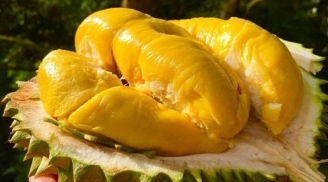 Sầu riêng cái hay đực ngon hơn? Bí quyết chọn sầu riêng chuẩn không cần chỉnh