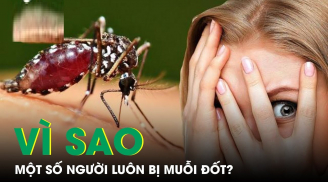 6 nhóm người muỗi rất thích đốt, xem bạn có trong đó không?