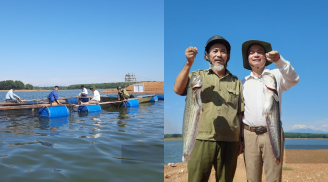 Cá da trơn Quảng Trị: Loài cá ‘dị’ hút khách, giá cao 85.000 đồng/kg