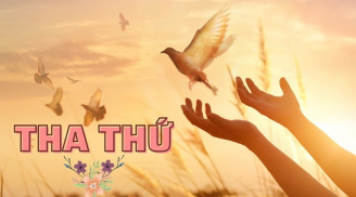 Hãy tha thứ cho người làm tổn thương bạn, ác nghiệp mà họ gây ra sẽ trở thành tu hành của chúng ta