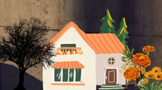 Người xưa nói trồng cây này trước nhà tổn hại phong thủy, gia đình nghèo khó, đó là cây gì?