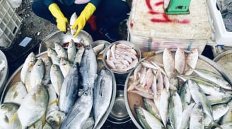 Người bán cá tiết lộ: Mùa thu hạn chế ăn 4 loại cá này vì chứa cực nhiều kim loại nặng