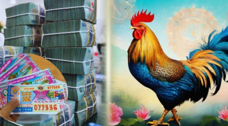 4 tuổi cá Chép xuôi dòng, tháng 8 lộc về, tháng 9 tiền đến, cuối năm mua nhà tậu xe