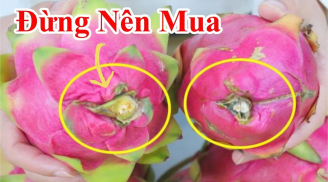 Chủ vườn nói: Mua thanh long muốn chọn quả ngọt đậm, dày cùi cứ làm cách này là biết