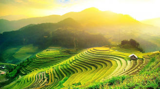 Mùa lúa chín tuyệt đẹp sắp đến, đừng quên ghé thăm 'mùa vàng' Hoàng Su Phì