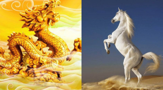 Từ ngày 18/8, tài lộc, vận may ập đến, 3 con giáp này mở mắt đã thấy tiền