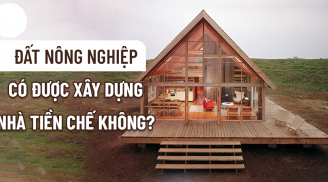 Trường hợp xây nhà trên đất nông nghiệp bị phạt tới 400- 500 triệu: Ai cũng nên biết kẻo thiệt thòi