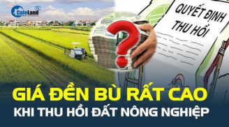 Cách tính giá đền bù đất nông nghiệp bị thu hồi như thế nào? Có cao không?
