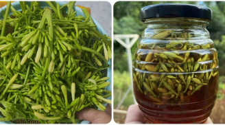 Loại cây không ra quả hay bị chặt bỏ, nay hoa có giá lên tới 1 triệu đồng/kg: Ở quê có rất nhiều
