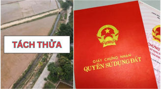 Từ 1/8: Muốn tách thửa diện tích tối thiểu bao nhiêu mới được cấp sổ đỏ?