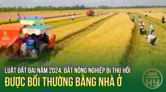 Từ 2025, có thể bồi thường đất nông nghiệp bằng nhà ở? Người dân cần điều kiện gì?