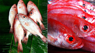 Từ loại cá xưa không ai ăn, nay thành đặc sản nhờ hương vị độc đáo, giá tới 300.000 đồng/kg