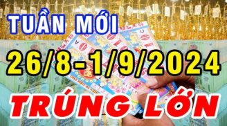 Tuần mới (26/9-1/9): 3 con giáp công việc suôn sẻ, thu nhập tăng lên vù vù