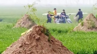 Tổ Tiên dặn kỹ: “Mộ không đầu thì con cháu nghèo, cáo canh mộ sẽ làm giàu ba đời”, có nghĩa là gì?