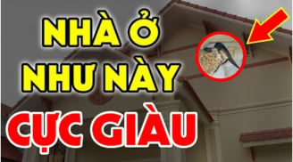 Nhà có 3 điều này được trả bao nhiêu tiền cũng đừng bán: Đất có kho báu phong thủy, càng ở càng giàu có