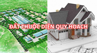 Từ nay, đất trong quy hoạch vẫn được xây nhà ở nếu chưa có kế hoạch sử dụng, có đúng không?