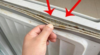 4 thứ bẩn nhất trong nhà, nhiều người vẫn sử dụng hàng ngày mà không hay biết