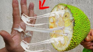 Bóc mít xong nhựa dính đầy tay, dùng loại gia vị này là giải quyết nhanh gọn