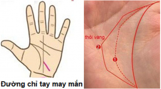 Người giàu có thành công trên bàn tay có 3 điểm chung này: Ai có 1/3 cũng đáng chúc mừng