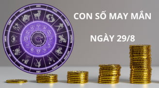 Tử vi ngày 29/8, chọn con số may mắn, con số đẹp nhất thu hút tài lộc cho 12 cung hoàng đạo