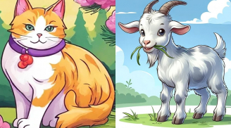 2 ngày cuối tuần (31/8-1/9), 3 con giáp 'chạm nóc' giàu sang, tiền tài tìm đến tận cửa