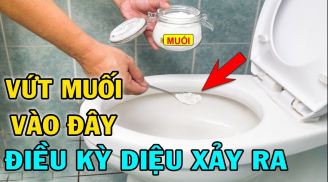 Thả muối vào bồn cầu: Tưởng bỏ đi mà tác dụng quý giá vô cùng