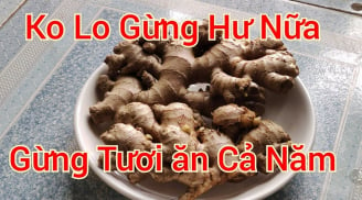 4 cách bảo quản gừng nửa năm không lo thối hỏng, không khô ọp