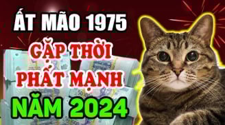 30 ngày liên tiếp, Tổ tiên phù hộ, 3 con giáp công danh đạt đỉnh, mã đáo thành công