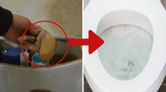 Đặt một đôi tất vào két nước bồn cầu: Công dụng tuyệt vời giúp bồn cầu thơm ngát, sạch sẽ ai cũng thích