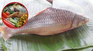 Loại cá xưa rất nhiều không ai ăn, giờ thành đặc sản cực khan hiếm: Gá bán 450 nghìn/kg vẫn không có để mua