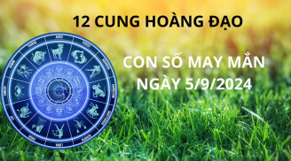Tử vi ngày 5/9, con số may mắn, số đẹp cho 12 cung hoàng đạo đón rước tài lộc, giàu có phát tài