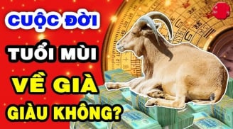 5 ngày liên tiếp (6/9 -11/9): 3 con giáp hóa Rồng hóa Phượng, cập bến giàu sang