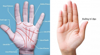 Sở hữu 1 trong 4 kiểu đường chỉ tay này, chúc mừng bạn cả đời giàu sang, không lo cơm áo gạo tiền