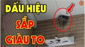 3 người này ghé nhà Thần Tài tới thăm: Đặc biệt vị trí thứ 2, xin chúc mừng bạn sắp giàu to