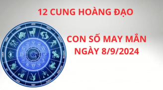 Tử vi ngày 8/9, con số may mắn số đẹp cho 12 cung hoàng đạo rước tài lộc giàu có