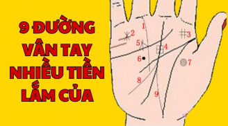 Tổ Tiên nói: 9 đường vân tay nhiều tiền lắm của, phú quý đuổi theo ầm ầm