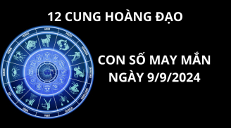 Tử vi ngày 9/9, chọn con số may mắn số đẹp cho 12 cung hoàng đạo gặt hái thành công, may mắn giàu có