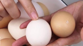 Khi mua trứng, nên chọn trứng đỏ hay trứng trắng? Nghe chủ trang trại hé lộ điều bất ngờ