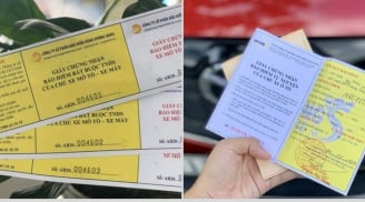 Mức phí bảo hiểm ô tô, xe máy bắt buộc năm 2024 là bao nhiêu? Rất nhiều người không biết
