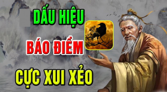 Nửa đêm nghe 4 tiếng kêu, không xui xẻo cũng tai họa, bất an, là tiếng gì?