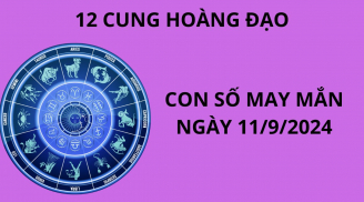 Tử vi ngày 11/9, những con số may mắn số đẹp cho 12 cung hoàng đạo, chọn đúng sẽ giàu to