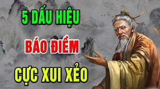 Tổ Tiên nói: 'Nhà có 5 tiếng kêu này là điềm báo xui xẻo, con cháu gặp họa', đó là gì?