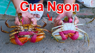Mẹo chọn cua biển ngon, chắc thịt nhiều gạch, không bao giờ bị ọp
