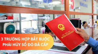 3 trường hợp bị hủy đăng ký biến động đất đai trên Sổ Đỏ đã cấp: Người dân nên biết sớm kẻo thiệt thòi