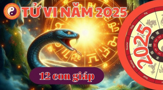 Ất Tỵ 2025: 3 con giáp gặp thời phất lên, đặc biệt con thứ 3 đón tin cực vui