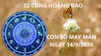 Tử vi ngày 14/9, con số may mắn số rước tài lộc giàu có cho 12 cung hoàng đạo