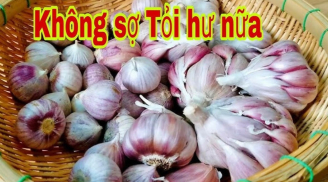 5 cách bảo quản tỏi để cả năm không ọp, không mối mọt